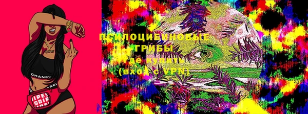 спайс Бородино
