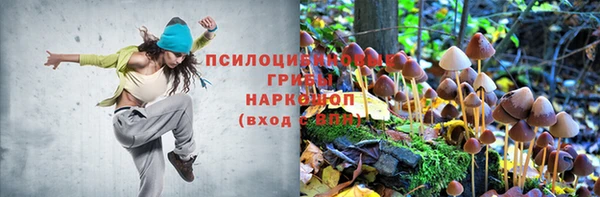 спайс Бородино