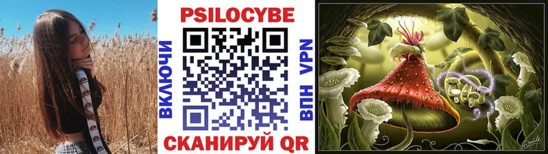 blacksprut ссылка  Буйнакск  Псилоцибиновые грибы GOLDEN TEACHER 