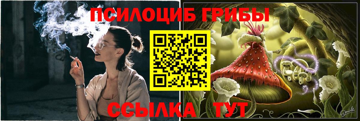 Галлюциногенные грибы MAGIC MUSHROOMS  Вход с VPN  Буйнакск  Псилоцибиновые грибы ЛСД 