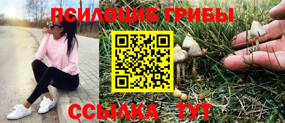 Галлюциногенные грибы GOLDEN TEACHER Буйнакск